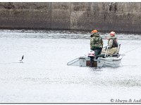 2014-05-22 -OE2A0586